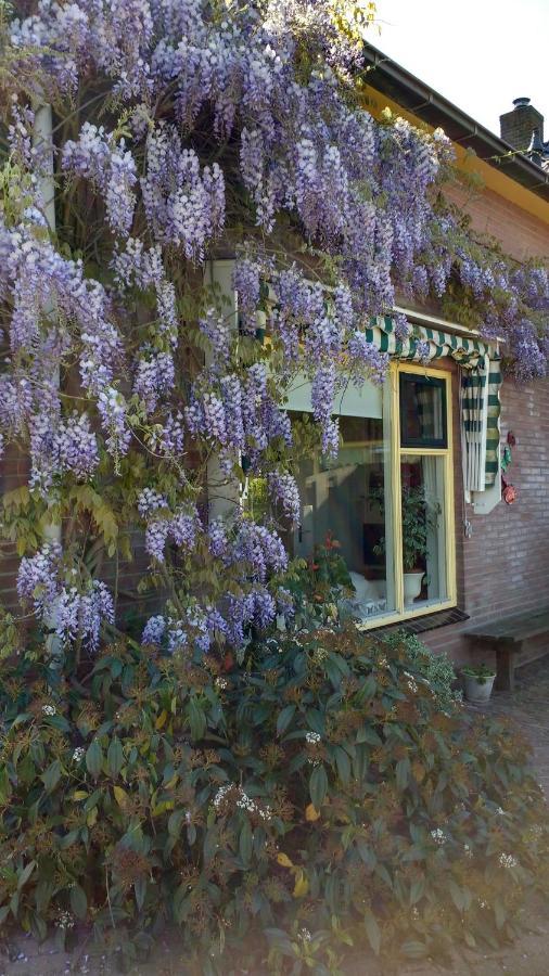 B&B De Vlinder Гарденберґ Екстер'єр фото